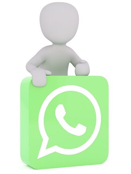 WhatsApp For Admission In Cricket Academy